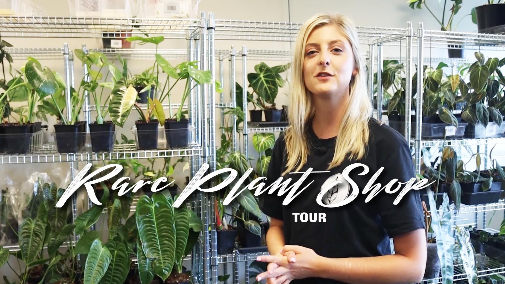 A Tour of The Rare Plant Shop! | 1000+ Rare Plants!