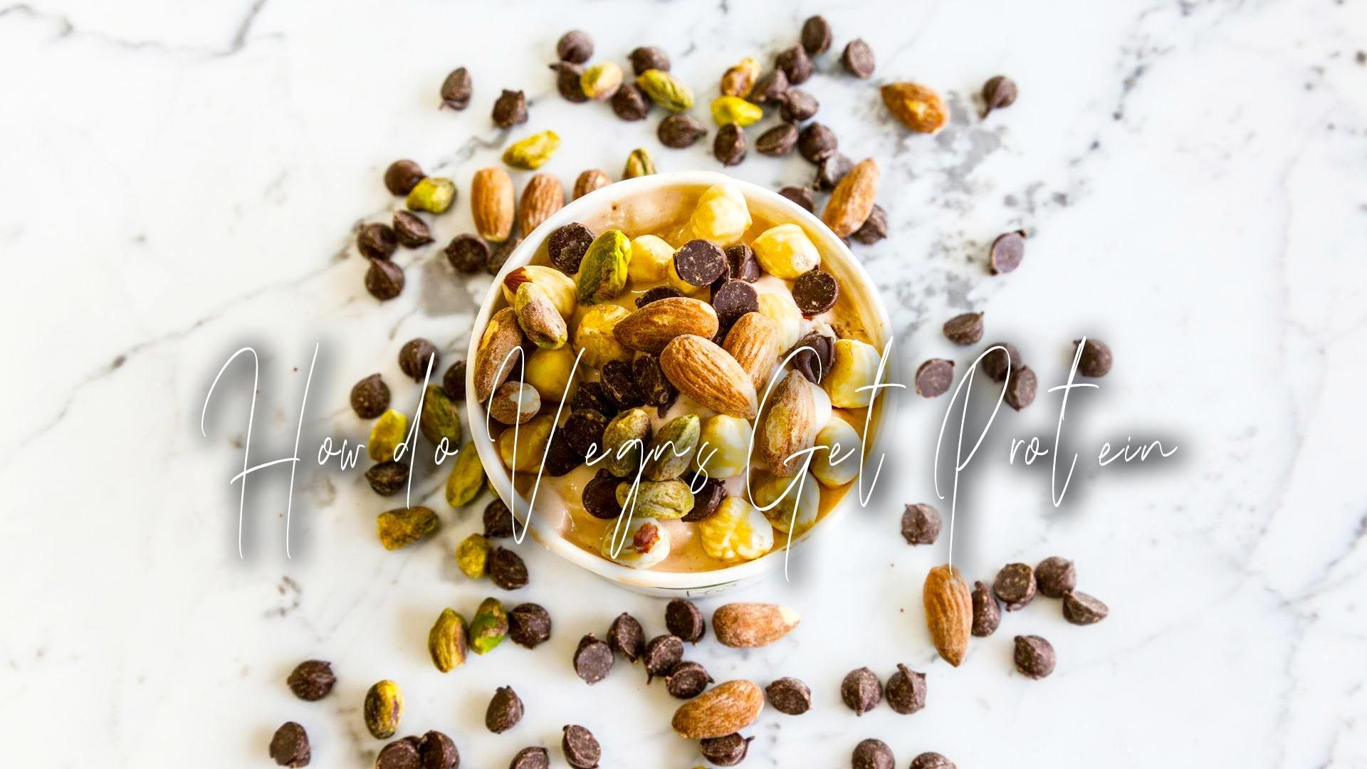HOW DO VEGANS GET PROTEIN?