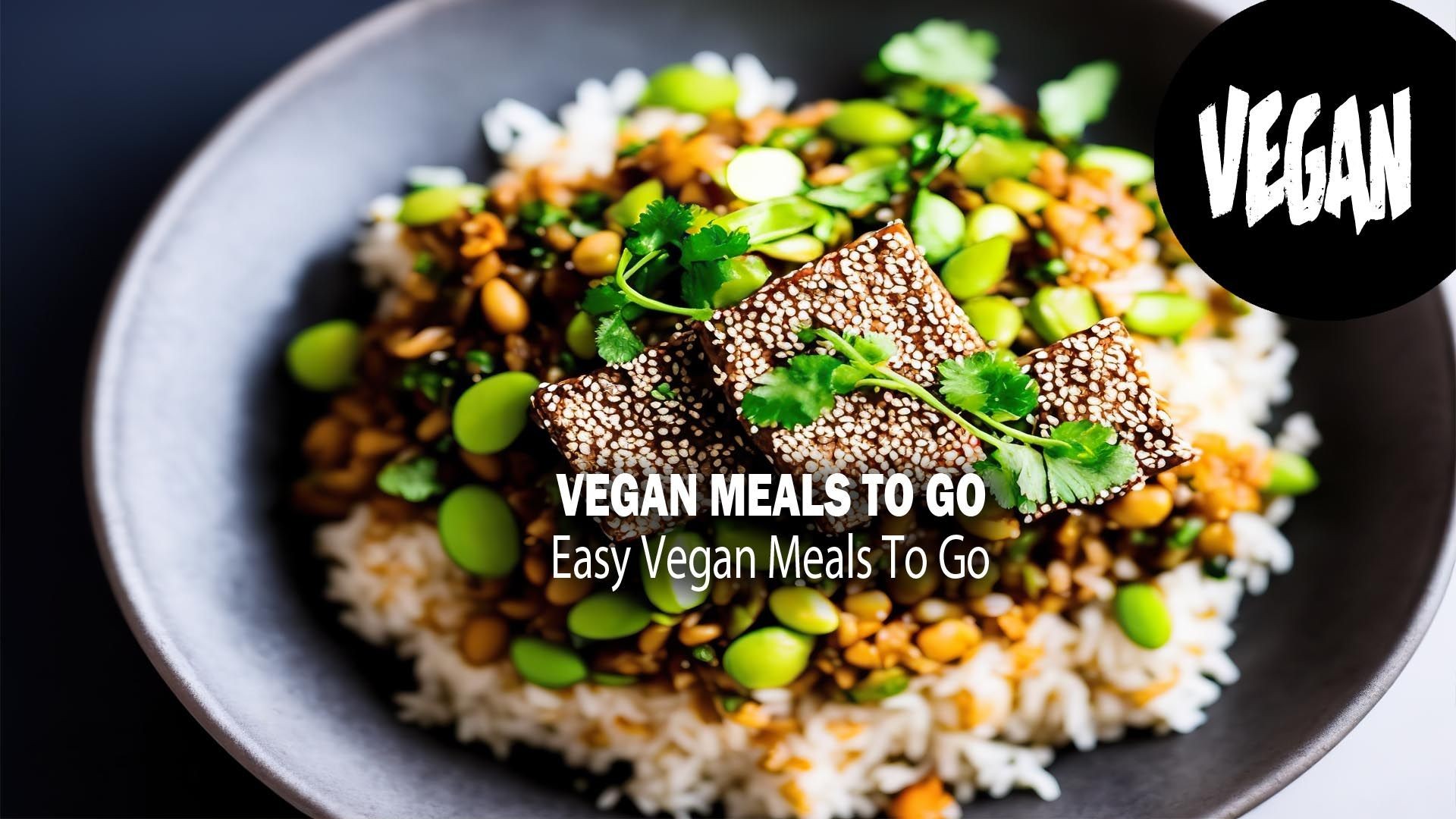 5 Wholesome & Easy VEGAN MEALS TO GO | RICE EDITION